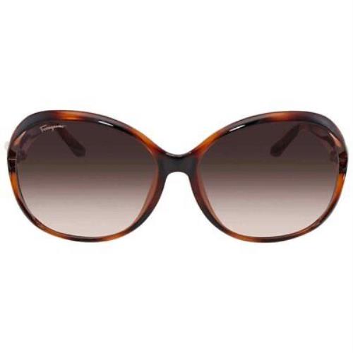 Salvatore Ferragamo sunglasses  - Tortoise Frame, Brown Lens