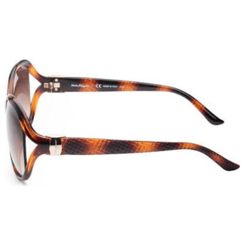 Salvatore Ferragamo sunglasses  - Tortoise Frame, Brown Lens