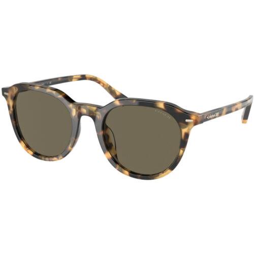 Coach Men`s Sunglasses Full Rim Tokyo Tortoise Acetate Frame 0HC8339U 5171352