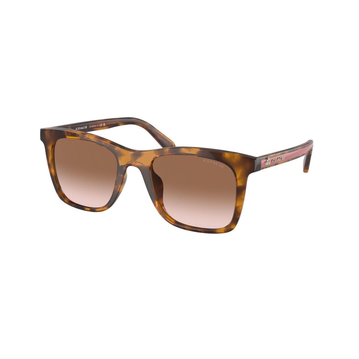 Coach 8374U Age Group Sunglasses 512013 Tortoise