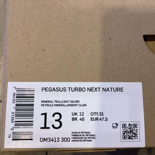 Nike shoes Pegasus Turbo - Mineral Teal/Light Silver 0