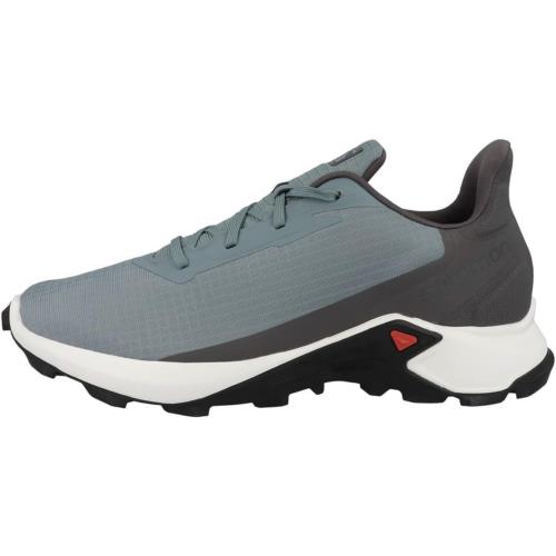 Salomon Men`s Alphacross 3 Trail Running Shoes Trooper/White/Magnet