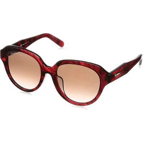 Sunglasses Ferragamo SF 906 SA 645 Striped Transparent Red