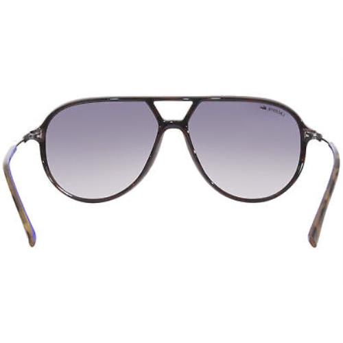 Lacoste sunglasses  - Havana Frame, Gray Lens