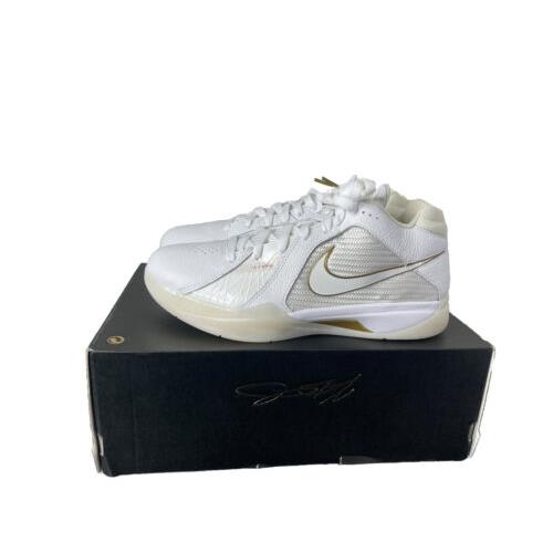 Nike Zoom KD Iii 3 White Metallic Gold DZ3009-100 Men`s Size 8.5 Shoes