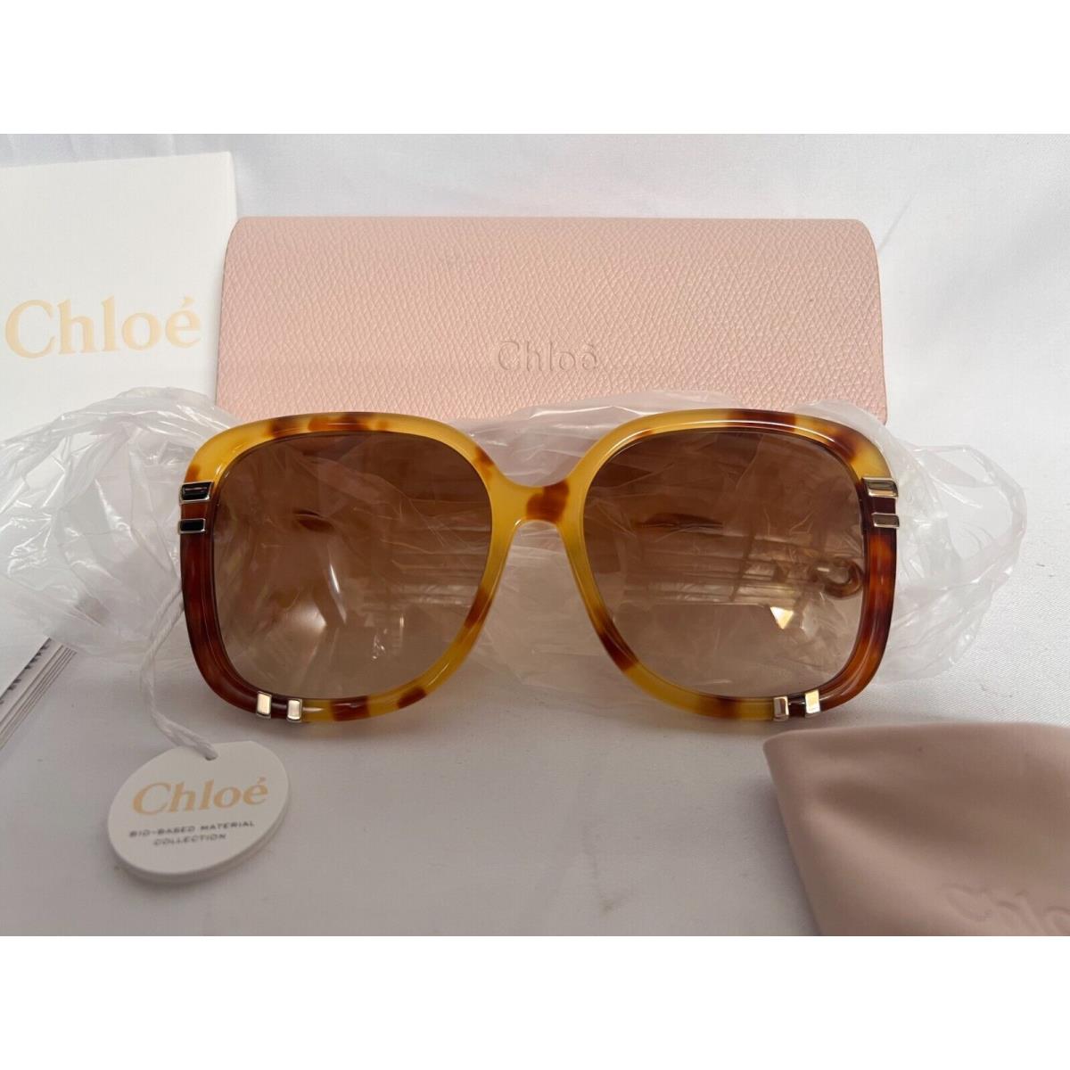 Chloe CH0106SA Havana Brown Women`s Sunglasses 59-17-145