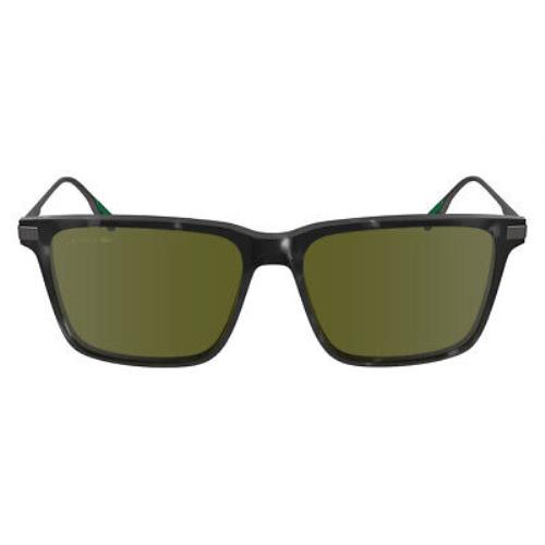 Lacoste Lac Sunglasses Men Havana Gray 55mm - Frame: Havana Gray