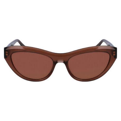 Salvatore Ferragamo Sfg Sunglasses Transparent Brown 55mm