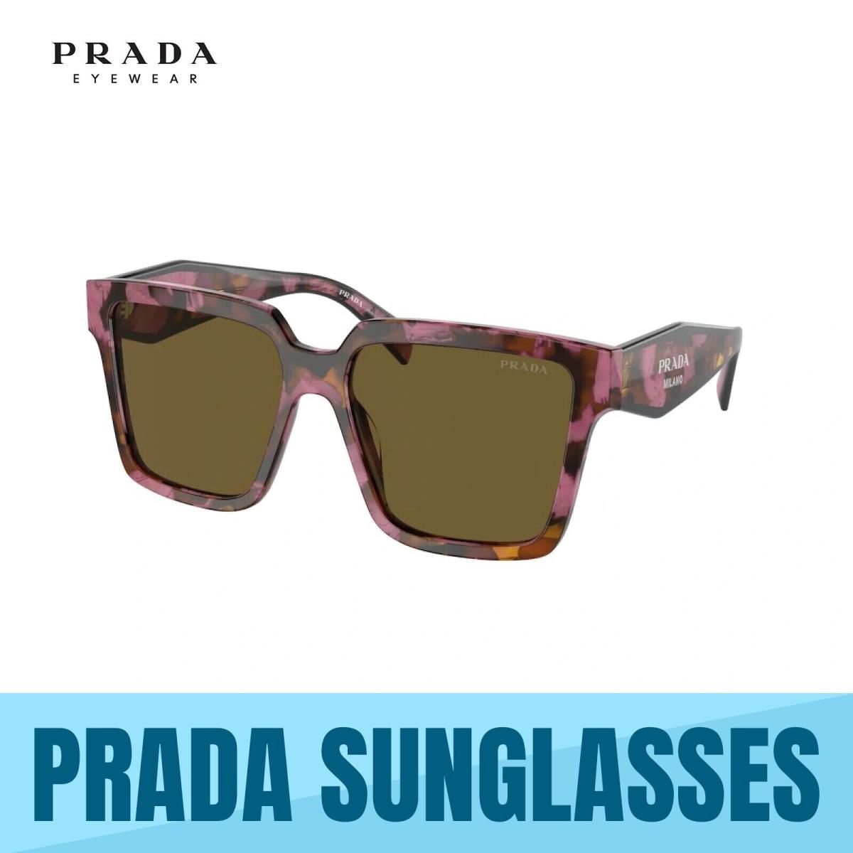 Prada PR 24ZS 18N01T Tortoise Cognac Begonia-dark Brown Sunglasses