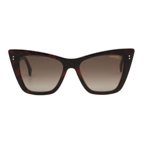 Carrera sunglasses  - Frame: Black Red Havana, Lens: Brown 1