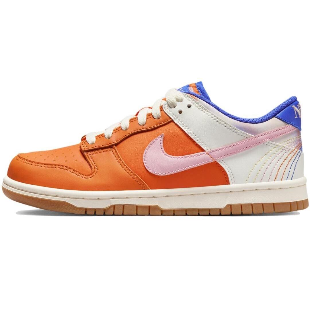 Size 4Y - Nike Dunk Low SE GS `everything You Need` Shoes FN0600-801 - Multicolor