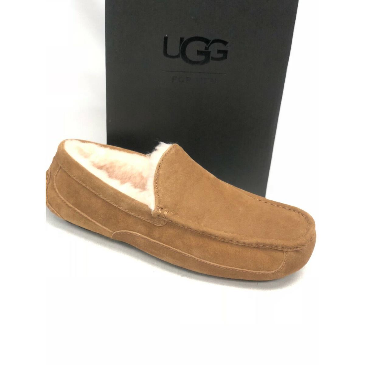 Ugg Men`s Ascot Slippers 1101110 Shoes Sheepskin Suede Multiple Colors