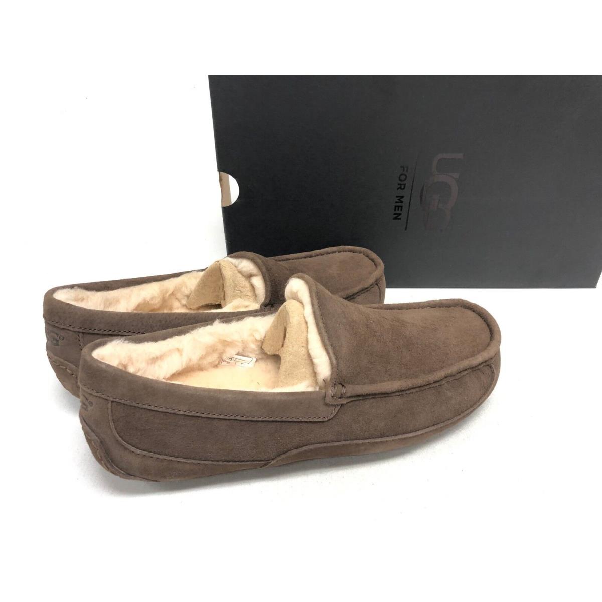 Ugg Australia Mens Ascot Suede Sheepskin Slipper 5775 Chestnut Charcoal Espresso