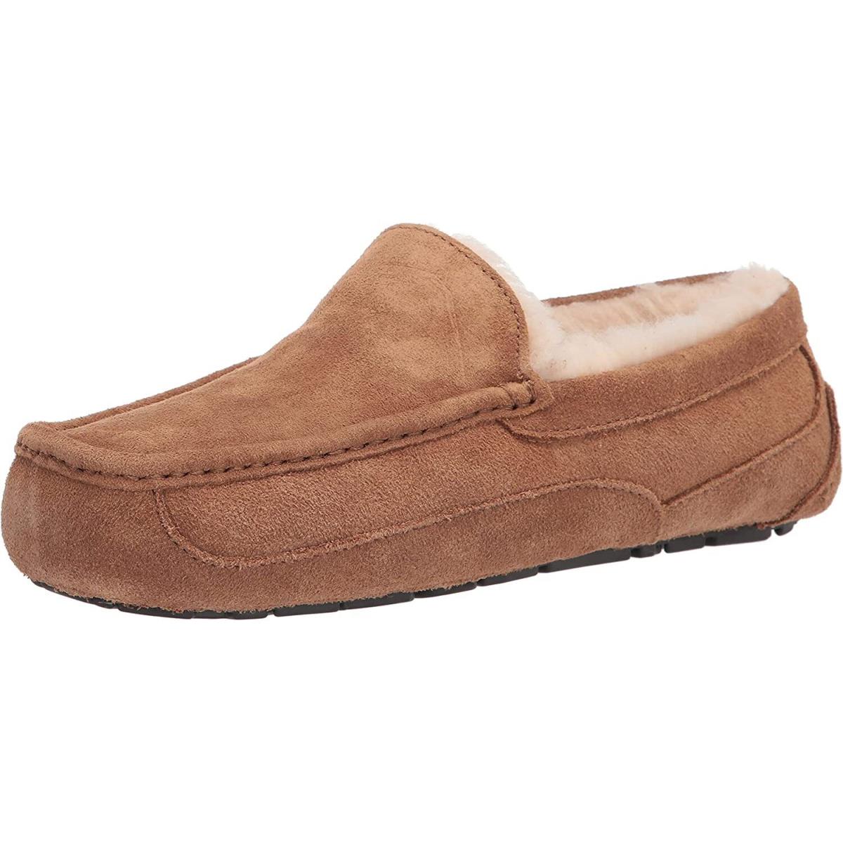 Ugg Men Ascot Medium Shoes Chestnut