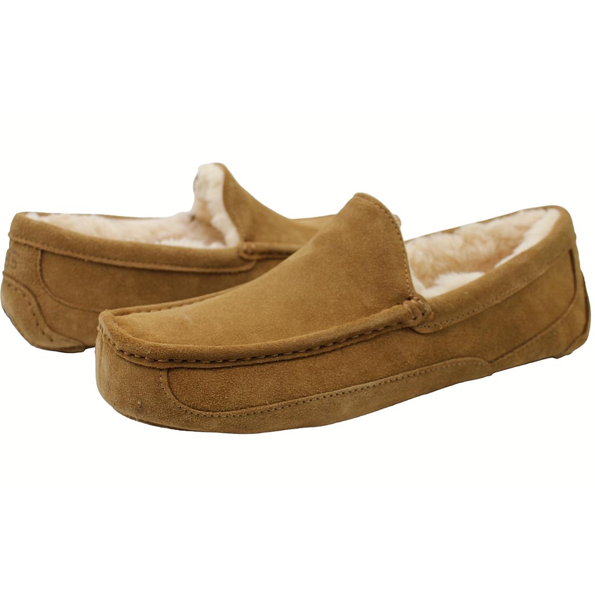 Ugg Mens Ascot Chestnut Color Suede Wool Slipper Shoe Size 12 US