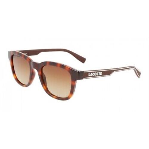 Lacoste L966S-230-50 Grey Havana Sunglasses