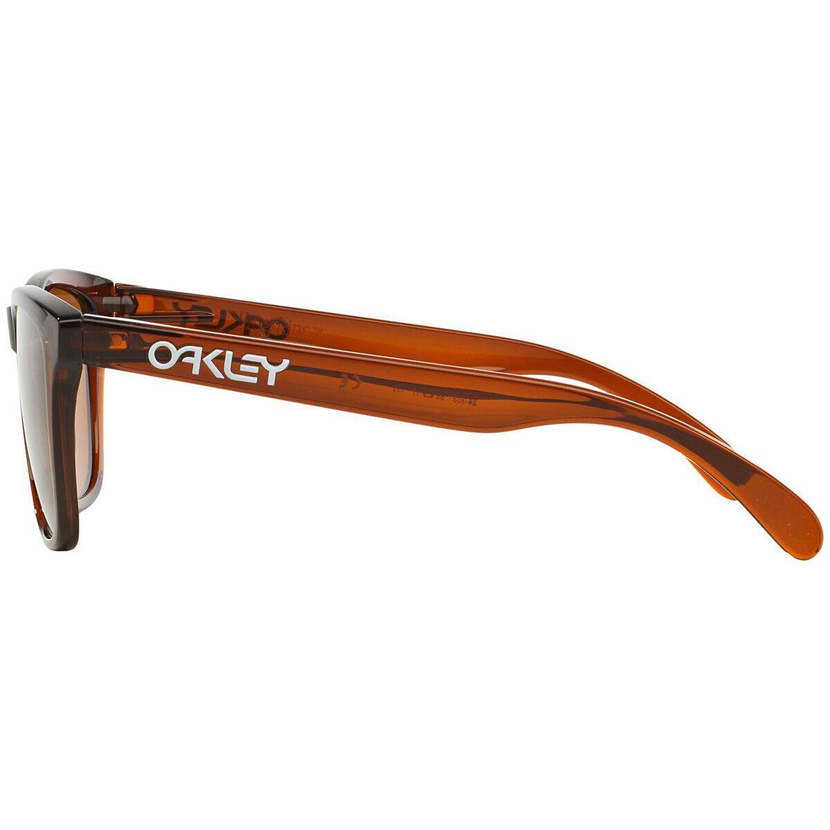 Oakley sunglasses Frogskins - Frame: , Lens: Brown 0