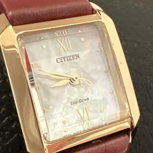 Citizen Eco-drive Women`s Burgundy 22MM Watch EW5593-05D