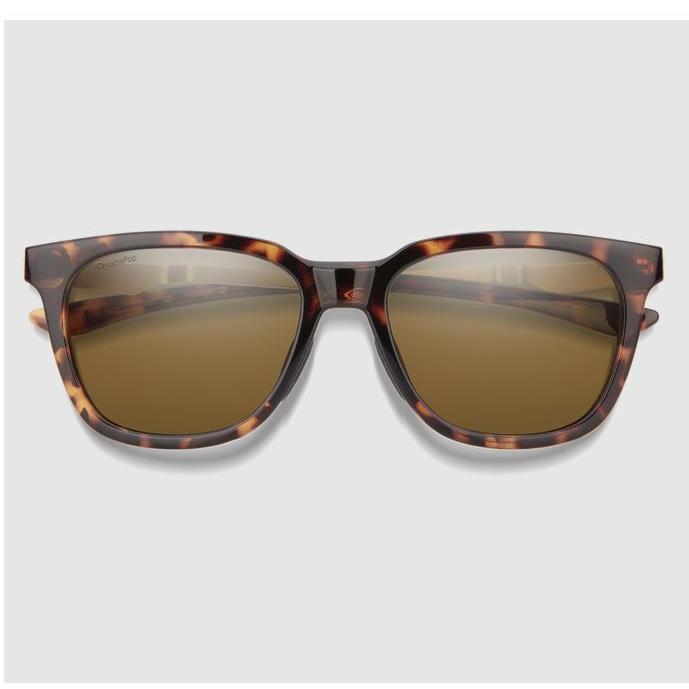 Smith Roam Sunglasses Matte Tort Chromapop Polarized Brown Tortoise