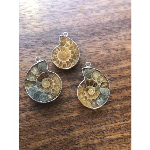 Old Stock 3 Pieces Ammonite Fossil Pendant Silver Beads Lot