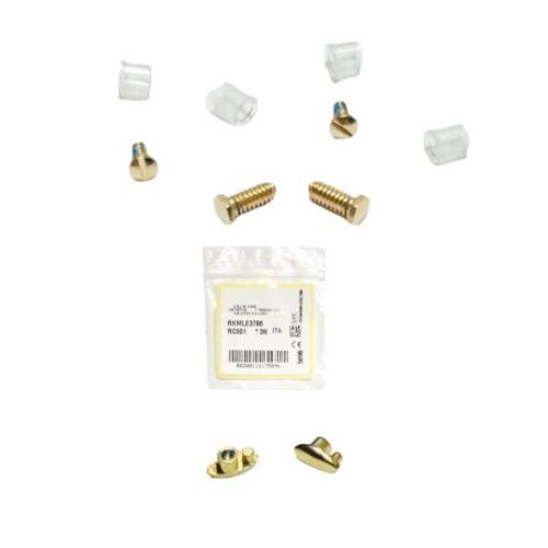 Ray Ban RB3449 RB3541 RB3497 Golden Replacement Lenses Screws Side Icon Kit