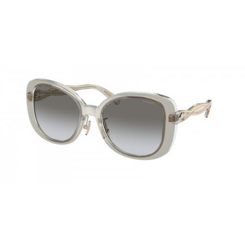 Coach Women`s 53mm Transparent Grey Sunglasses HC8333-56813C-53