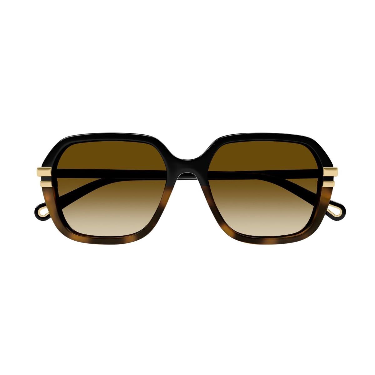 Chloé Chlo CH0204S Havana with Gold/brown Shaded 003 Sunglasses