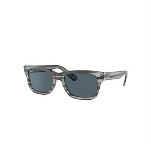 Ray Ban RB2283-1314R5-55 Gray Sunglasses