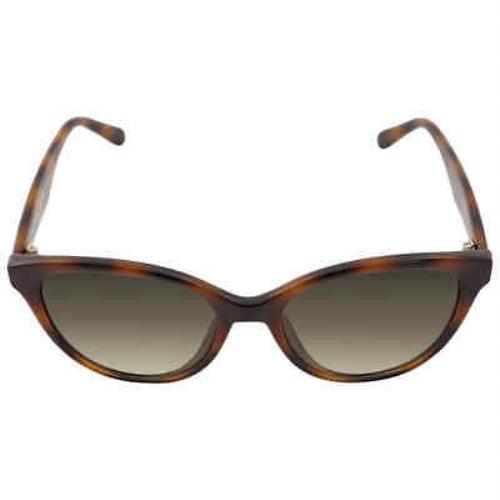 Salvatore Ferragamo Grey Gradient Butterfly Ladies Sunglasses SF1073S 240 54
