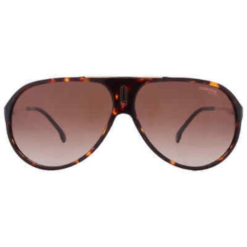 Carrera Brown Shaded Pilot Unisex Sunglasses Hot 65 0086/HA 63 Hot 65 0086/HA 63