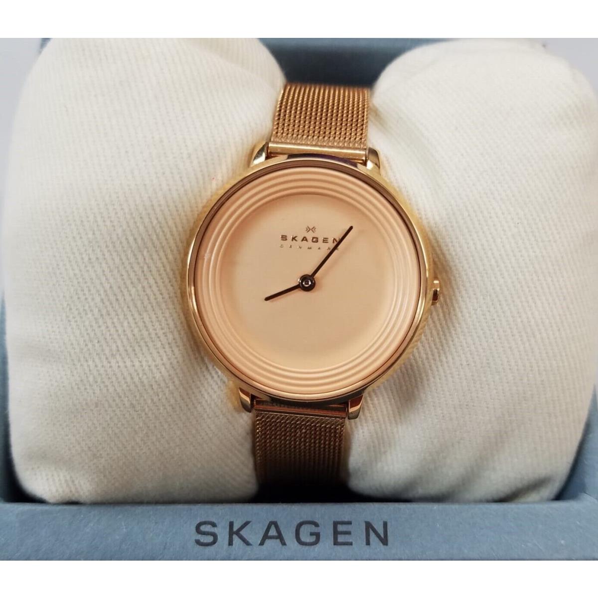 Skagen Women`s SKW2213 Ditte Rose Gold-tone Stainless Steel Watch