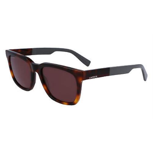 Lacoste L996S Havana 214 Sunglasses