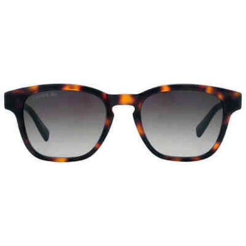Lacoste Brown Gradient Square Men`s Sunglasses L986S 240 52 L986S 240 52