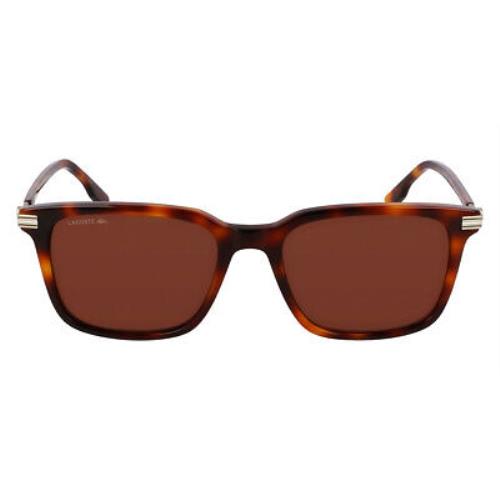 Lacoste L6035S Sunglasses Men Havana 53mm