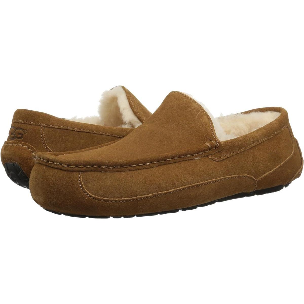 Men Ugg Ascot Suede Slipper 1101110 Chestnut