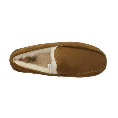 Men`s Ugg Australian Ascot Wool Moccasin Indoor/outdoor Slippers - Brown