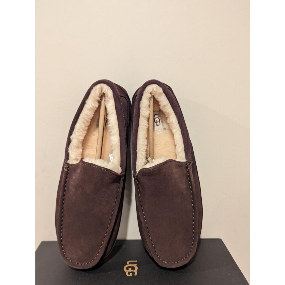 Ugg Australia Men`s Ascot Slipper Size 12