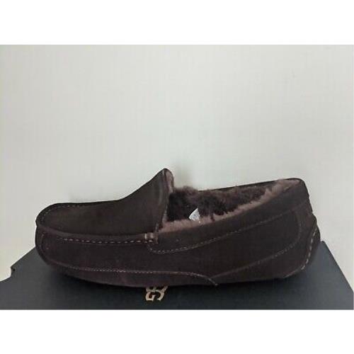 Ugg Australia Men`s Ascot Slipper Size 12