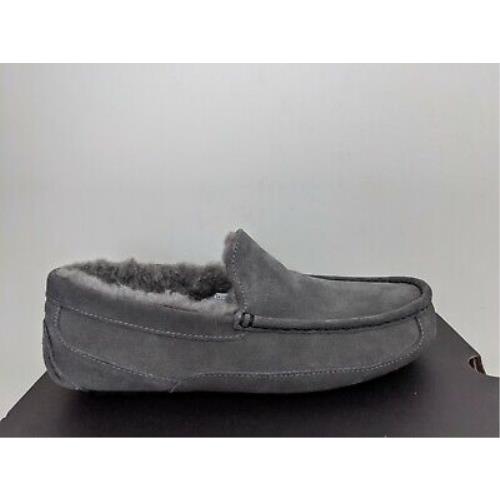 Ugg Australia Men`s Ascot Slipper Size 12