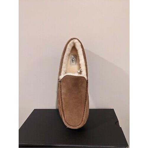 Ugg Australia Men`s Ascot Slipper Size 11