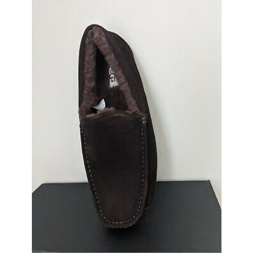 Ugg Australia Men`s Ascot Slipper Size 13