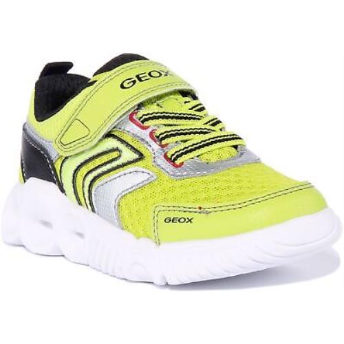 Geox J Wroom Kids Single Strap Led Light Up Sneaker In Lime Size US 13C - 4Y