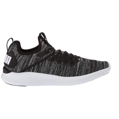 Puma Men`s Ignite Flash Evoknit Black/asphalt/white 190508 02 - Black