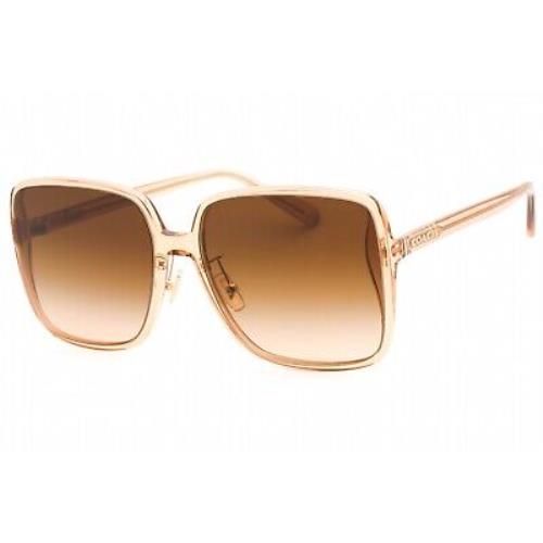 Coach 0HC8368D-556174 Transparent Brown Sunglasses