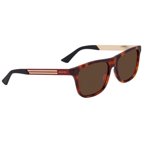 Gucci GG0687S-004 Men`s Retro Sunglasses Brown Havana Red Gold Black/auburn 57mm