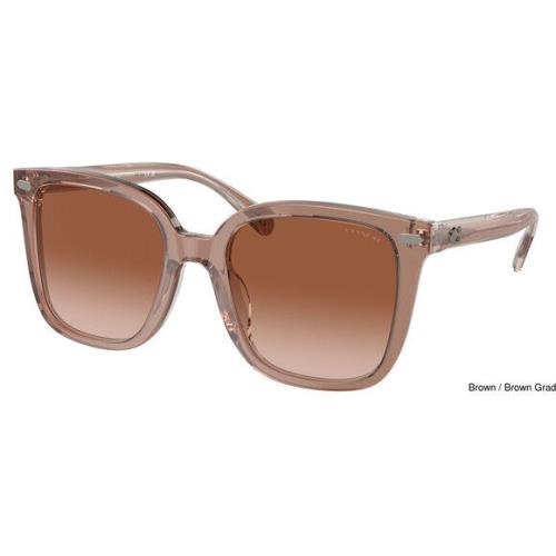 Coach Women`s 54mm Brown Sunglasses HC8381U-577913-54