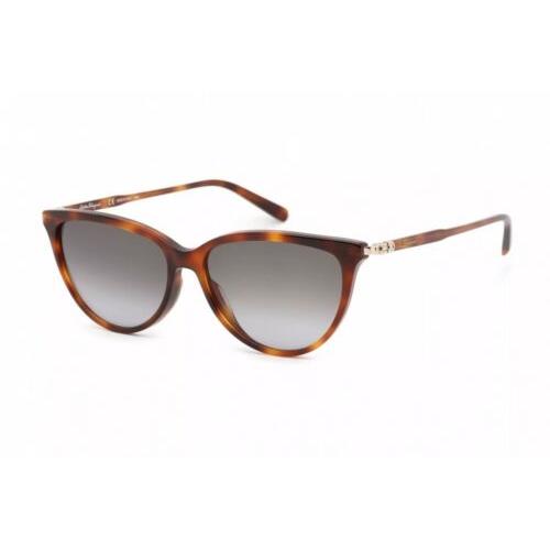 Salvatore Ferragamo SF2870S-214-55 Sunglasses Size 55mm 145mm 14 Tortoise Sun