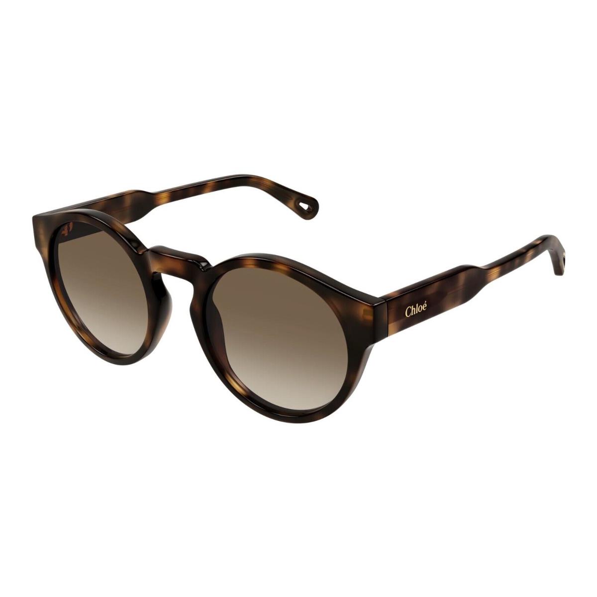 Chloe CH0158S Havana/brown Shaded 002 Sunglasses