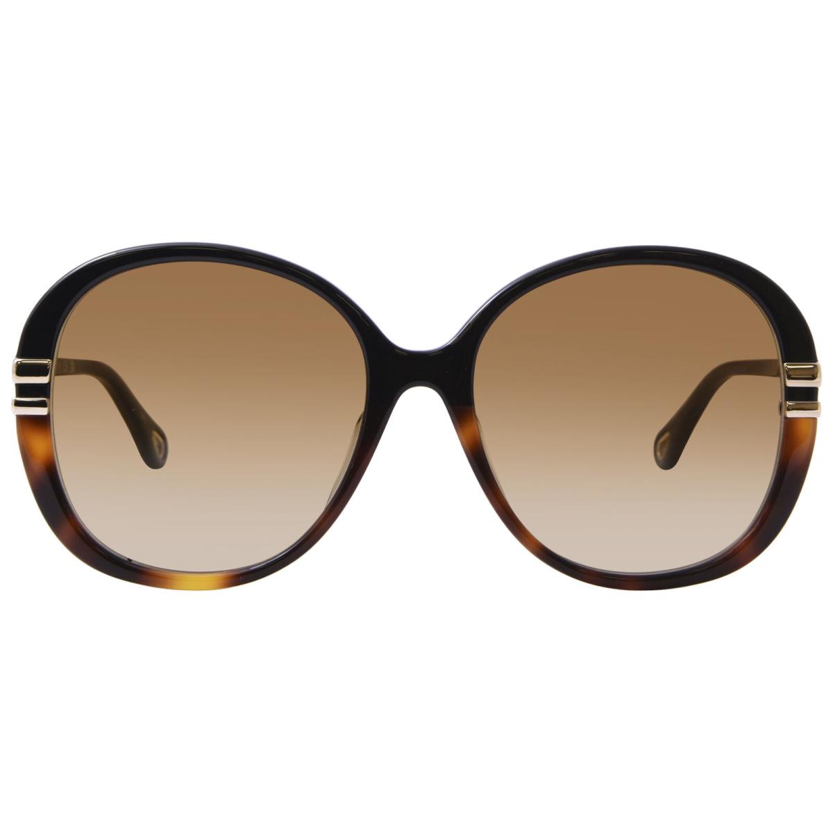 Chloe CH0207SK 003 Sunglasses Women`s Black/gold/brown Butterfly Shape 58mm