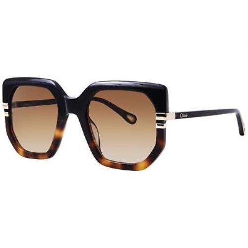 Chloe CH0240S 003 Sunglasses Women`s Black/havana/brown Gradient 53mm
